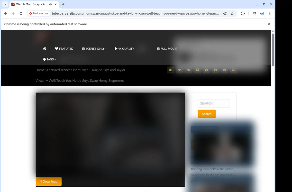 Perverzija Video Downloader screenshot 2