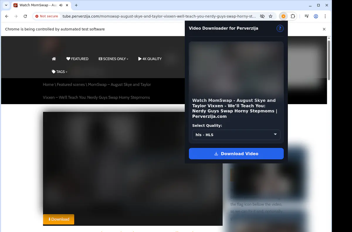 Perverzija Video Downloader screenshot 3