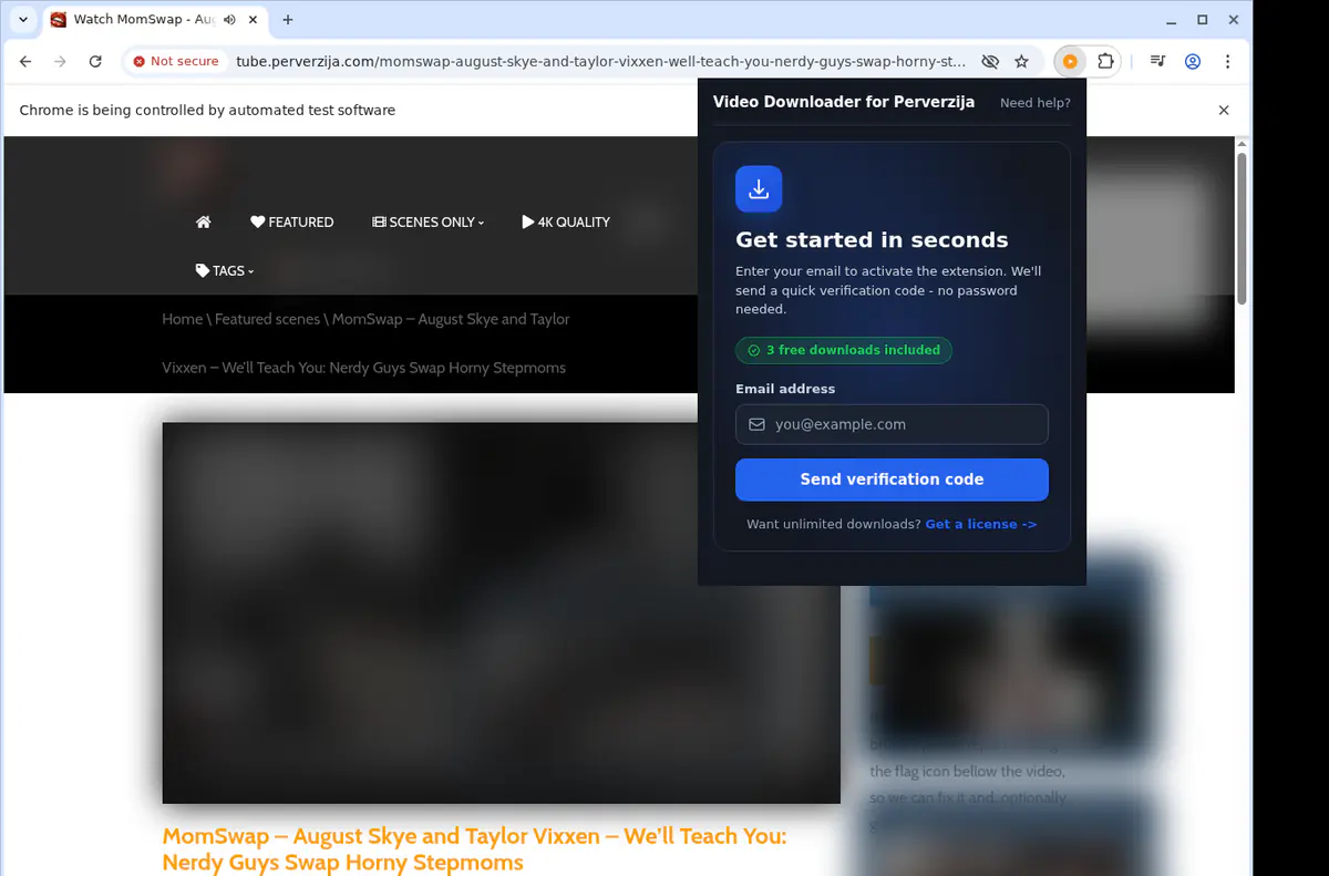 Perverzija Video Downloader screenshot 5